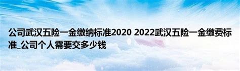 公司武汉五险一金缴纳标准2020 2022武汉五险一金缴费标准_公司个人需要交多少钱 _产业观察网