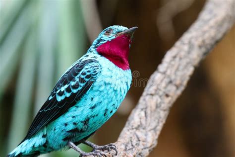 Image result for JavaScript Tutorials Image
