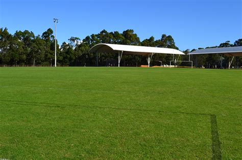Crowned Sportsfield 的图像结果
