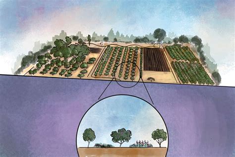 Campaign to Restore the Farm - Fairview Gardens Farm