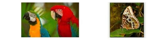 Image result for vs Code File