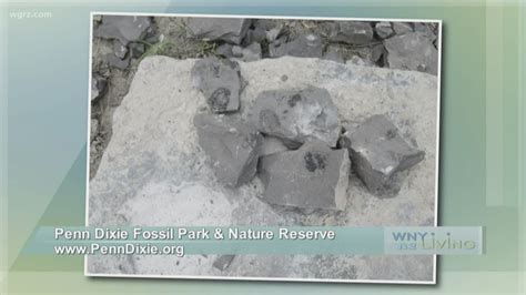 August 10 - Penn Dixie Fossil Park & Nature Reserve | wgrz.com