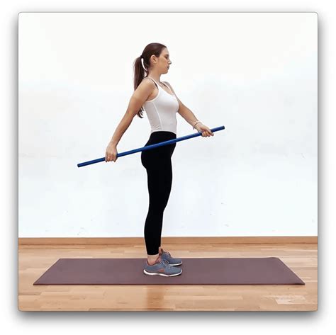 Thera Band Shoulder Flexion And Extension