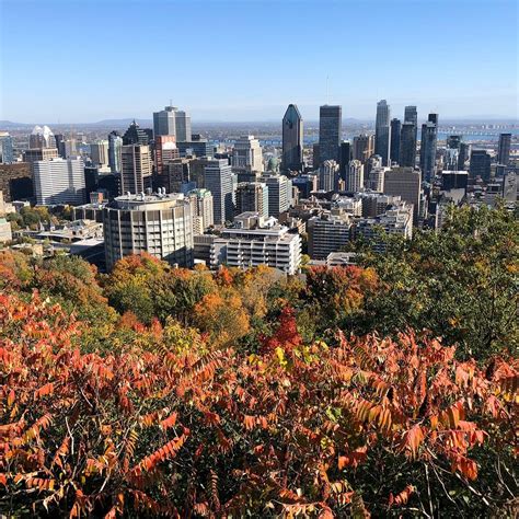 MOUNT ROYAL PARK (2026) All You Need to Know BEFORE You Go (with Photos ...