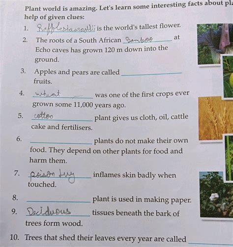 Plant world is amazing. Let's learn some interesting facts about plants w..