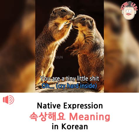 What Does Mean In Korean
