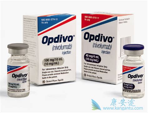 O药与K药是率先在中国获批上市的两款PD-1抑制剂-康安途海外医疗