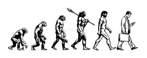 进化论人的 向量例证. 插画 包括有 炭疽病, 投反对票, 查出, 图象, 达尔文, 大主教, 猴子, 例证 - 118705626