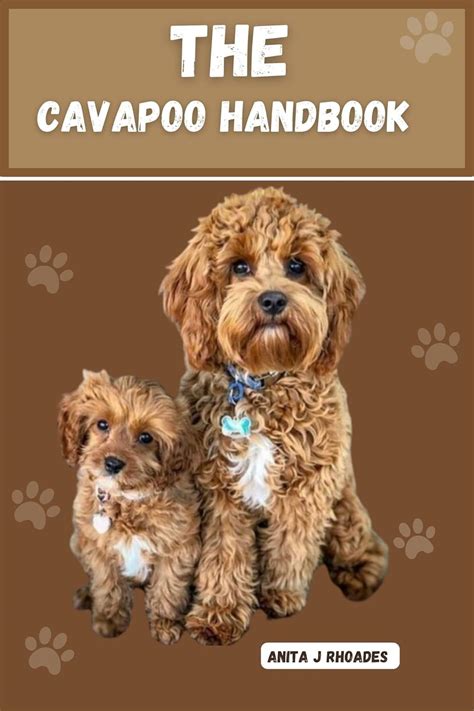 The cavapoo handbook : Your complete guide for caring for, Training ...