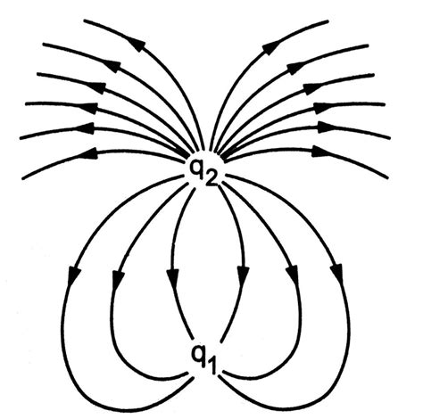 Consider the situation shown in the figure. What are the signs of q1 ...