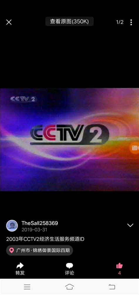 2003年CCTV2经济生活服务频道ID - 哔哩哔哩
