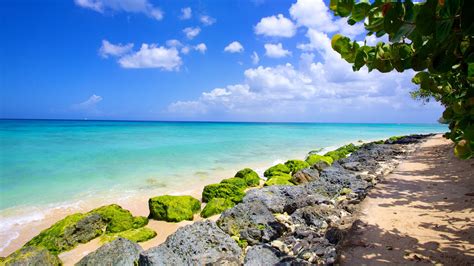 Paradise Beach, Bridgetown Vacation Rentals: house rentals & more | Vrbo