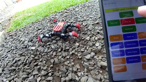 Image result for Arduino Spider Robot