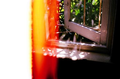 Close-up of cropped window | Premium Photo
