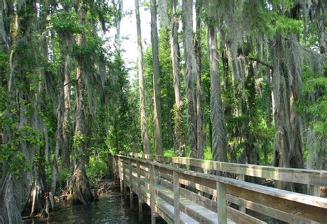 Creswell Tourism (2024): All You Need to Know Before You Go