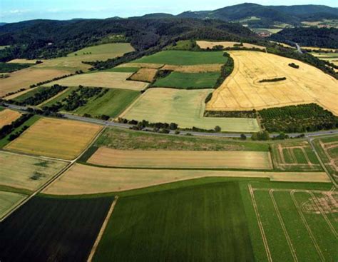 BVVG fordert fehlende Unterlagen ein | agrarheute.com