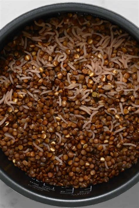Mujadara: Lentils and Rice with Crispy Onions - Alphafoodie