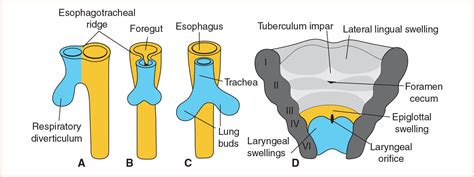 Image result for Python Density Plot Metaplot Site Stacked