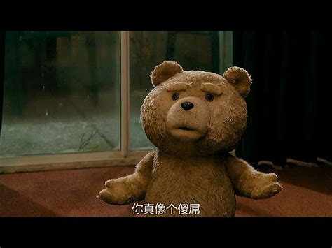 《泰迪熊2》图片分享 - 哔哩哔哩