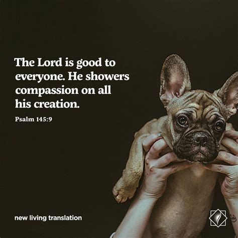 Bible Animals Quotes