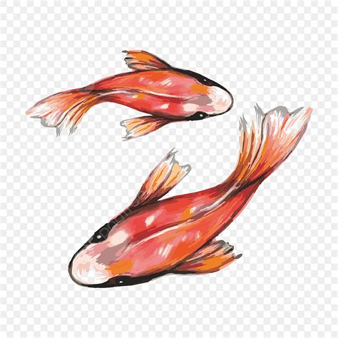 Watercolor Koi Fish