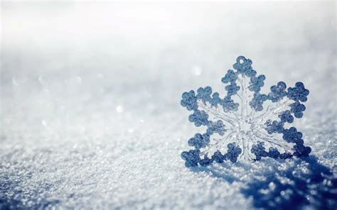 24首雪诗词，24种雪的别称，大美冬天！