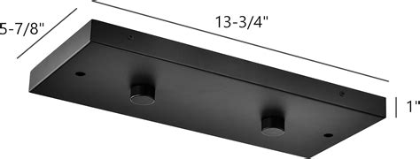 Buy Two Pendant Light Linear Canopy Accessory Light Kit, 13-3/4 inch ...