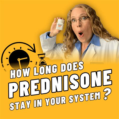 What Happens To Your Dog After Stopping Prednisone