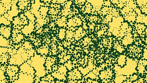 Background Simple 的图像结果