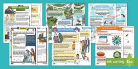 Mixed Reading Extracts KS2 Comprehensions Bumper Pack
