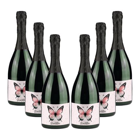 Scintillae rosè box 6 bottles | Assisi Wine