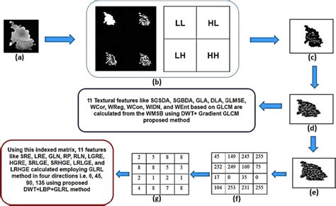 Feature Extraction Using Wavelet Transform 的图像结果