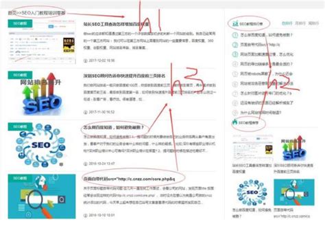 SEO入门教程_SEO基础教程新手学习入门必备-狂人网络