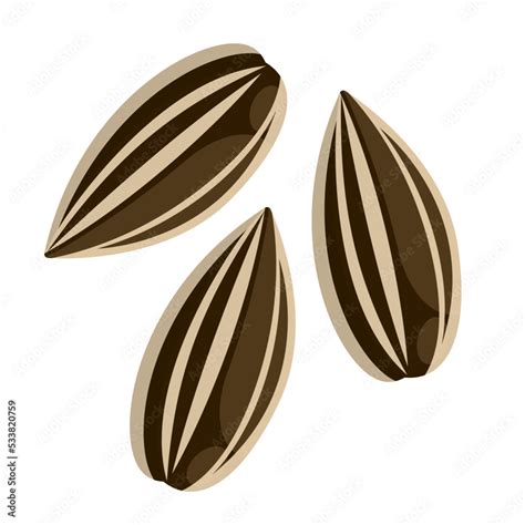 Free seeds, Download Free seeds png images, Free ClipArts on Clipart ...