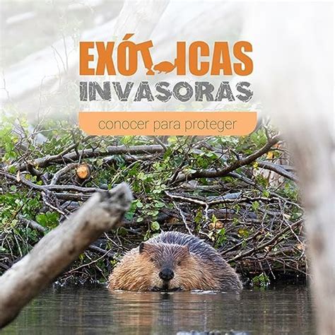 Especies Exóticas Invasoras : Icaro Producciones: Amazon.in: Audible ...