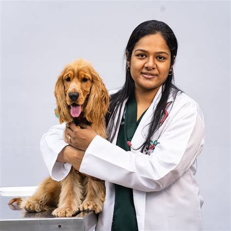 Dr. Priyanka Tewari | Veterinary Associate | DCC Animal Hospital