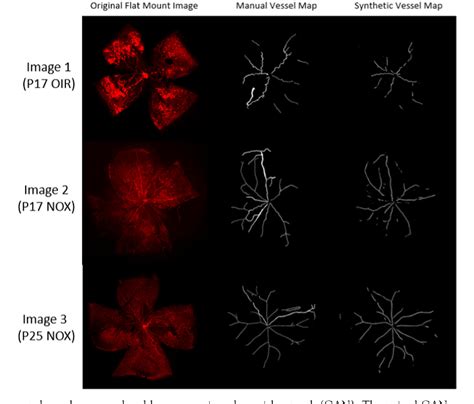 Google Scholar Deep Learning Model Image 的图像结果