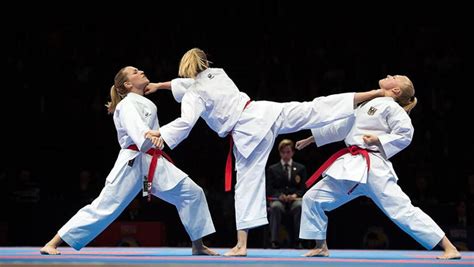Image result for Karate Framework Java