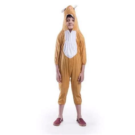 Buy Rat costume for Boys an girls online low price fast delivery ...