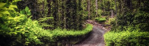 yercaud Tours and Packages: Best Time To Visit | Indianpanorma