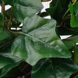 FEJKA artificial potted plant, in/outdoor hanging/Ivy, 15 cm (6") - IKEA