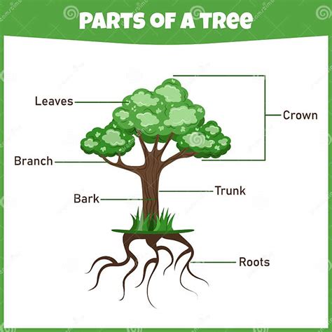 Image result for Tree Structure HTML/CSS