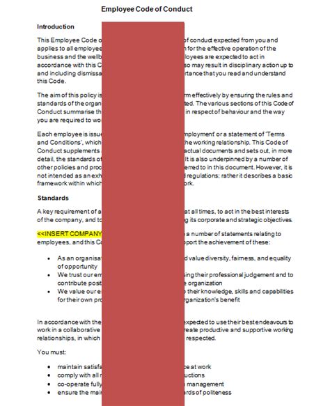 Code of Conduct Example 的图像结果