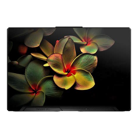 Nature Drop Down Collection