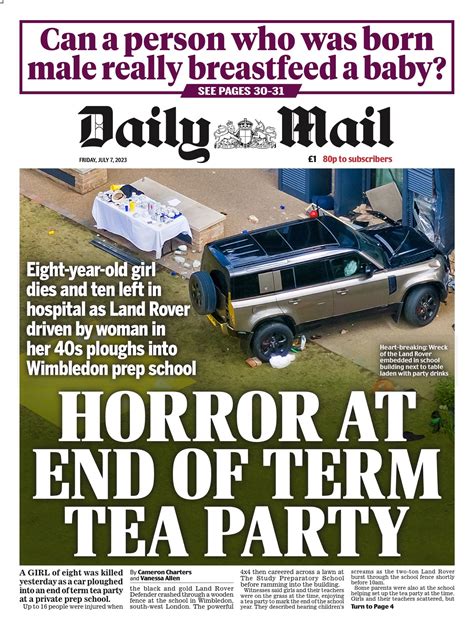 Daily Mail Paper 的图像结果