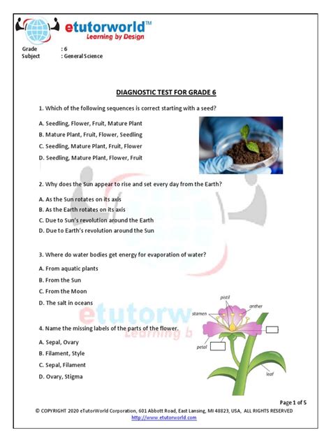 Science Grade 6 Test 的图像结果