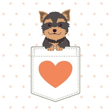 O personagem do cachorro fofo Yorkshire terrier no bolso da camisa em ...