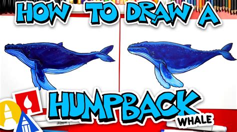 How To Draw A Humpback Whale - Art For Kids Hub