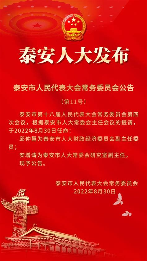 正式启用！看看新建成的“泰安市民之家”长啥样_泰安要闻_泰安_齐鲁网