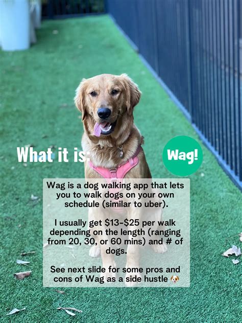 How to make $50/week from dog walking 🐶🚶‍♀️ | Gallery posted by Kim ...